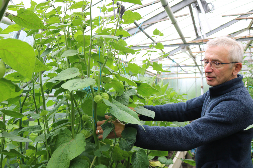 Feldmann Neerstedt 1 Feldmann Neerstedt 1