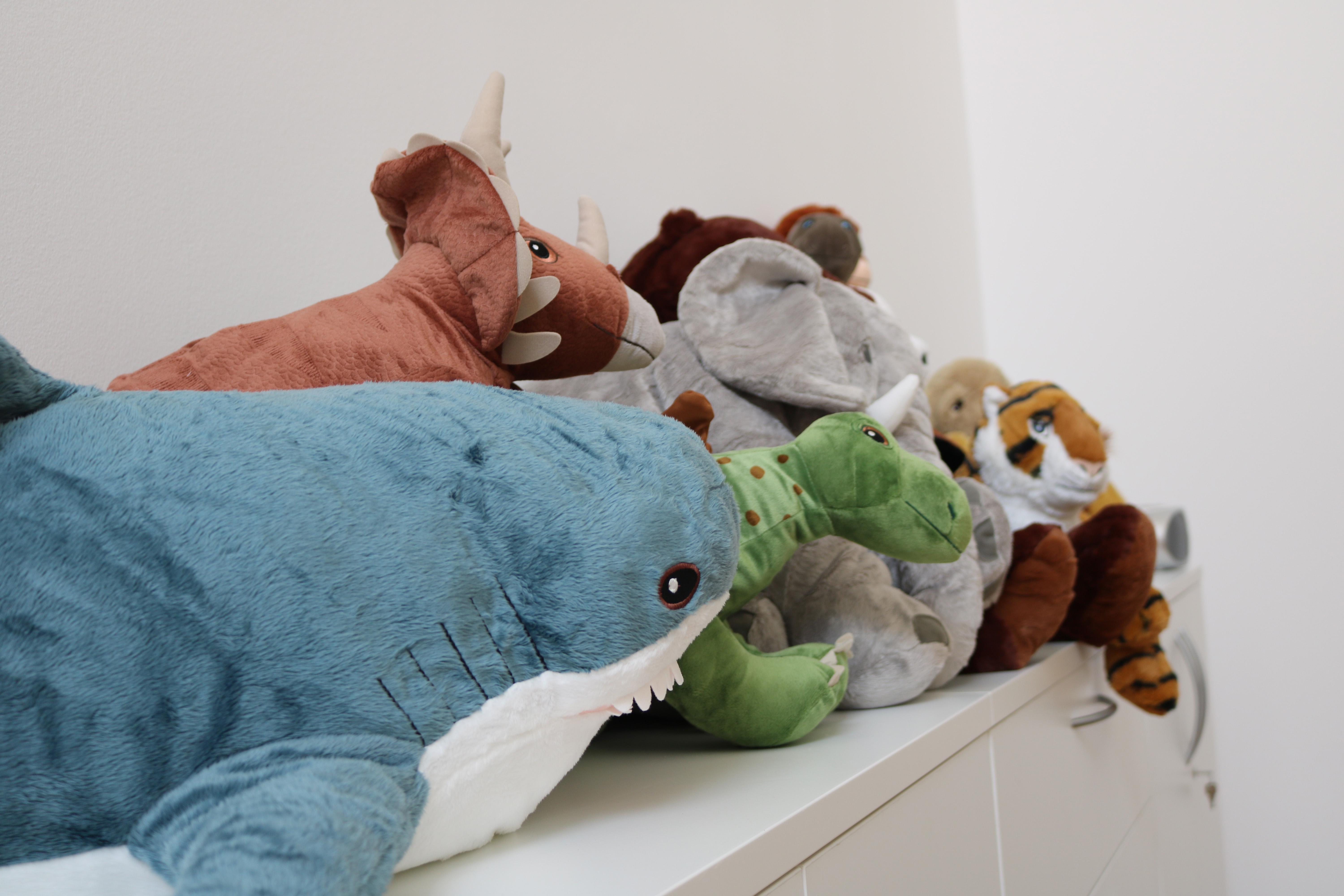 Kiola Start Spielzeug Kiola Start Spielzeug