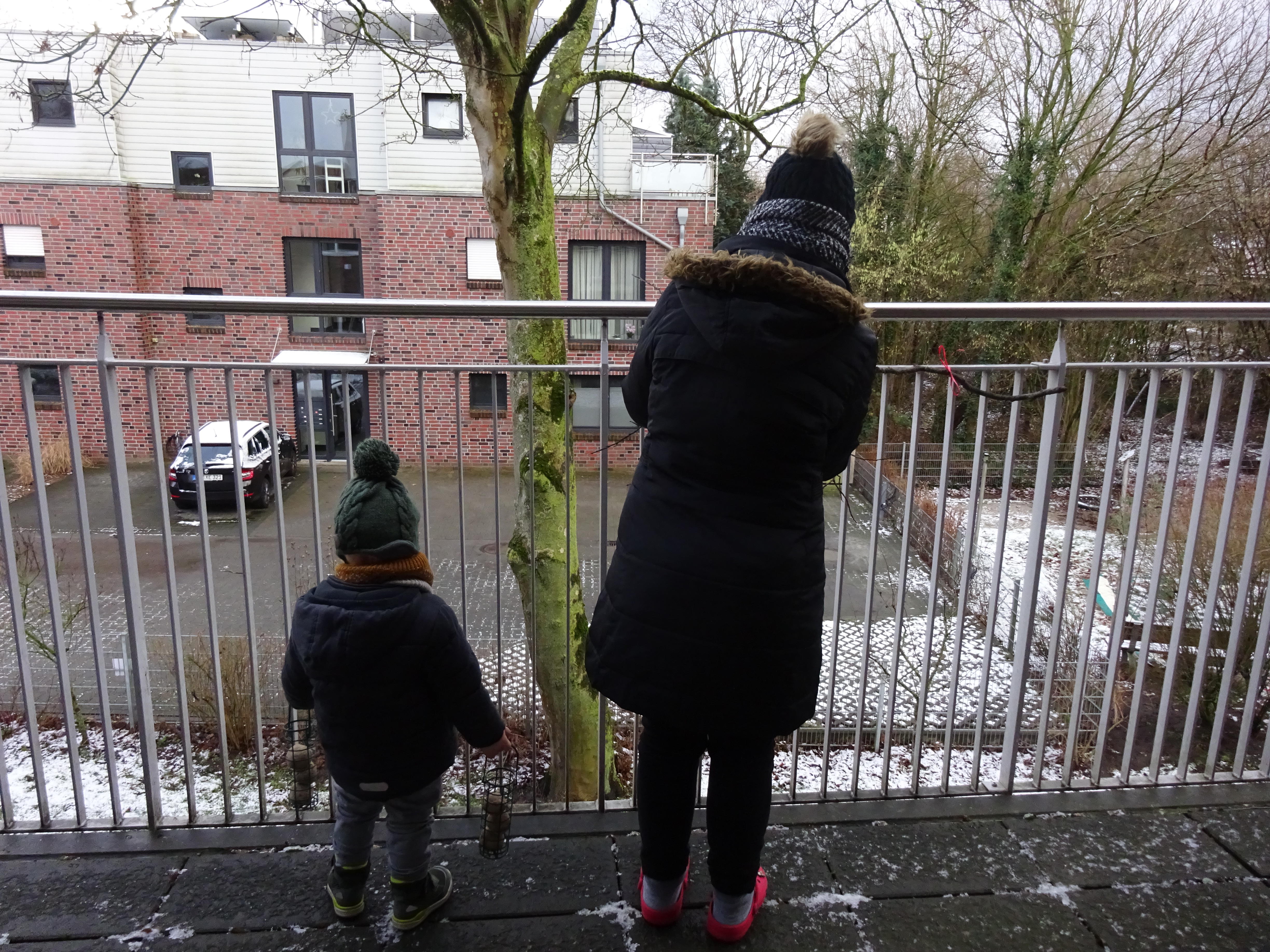 Das Vogelfutter wird am Balkongeländer der Krippe befestigt. Foto: DiKiTa