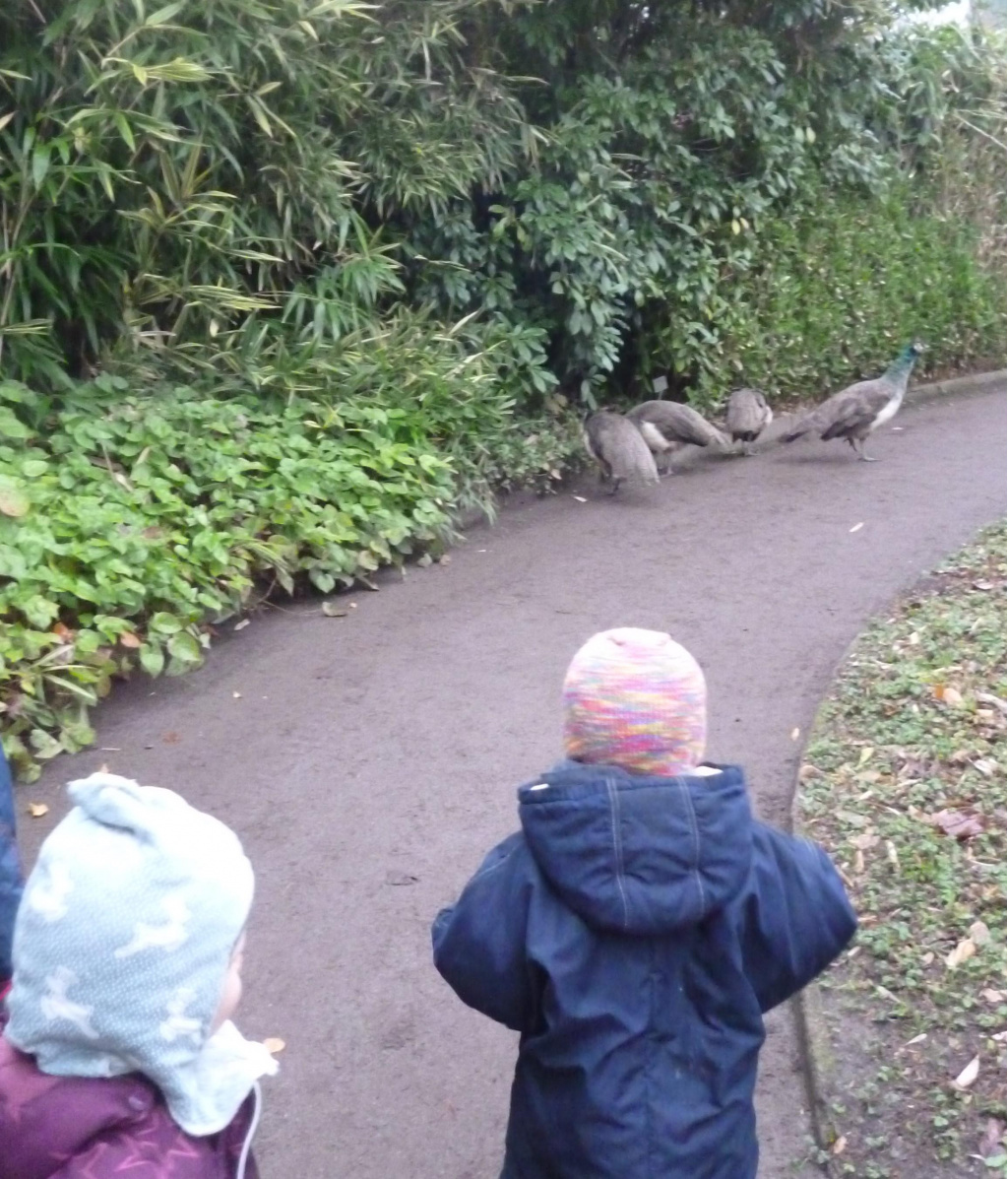 Kita Philo 06 Kita Philo 06